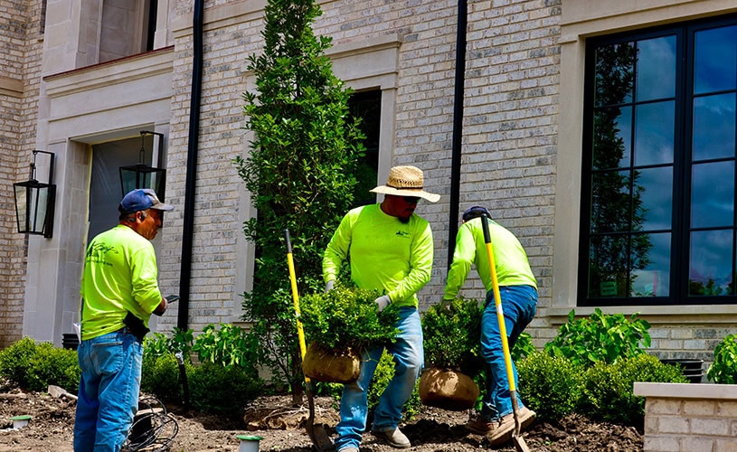 landscaping services