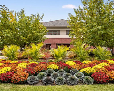 landscaping services