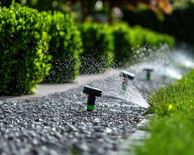 garden bed maintenance